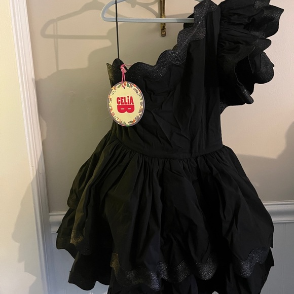 CeliaB Black Lava Dress, Ruffled One Shoulder Mini Dress, NWT — Size XS - Picture 4 of 16